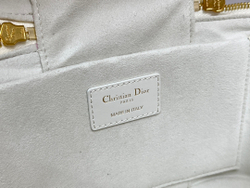Christian Dior DiorTravel Vanity Case