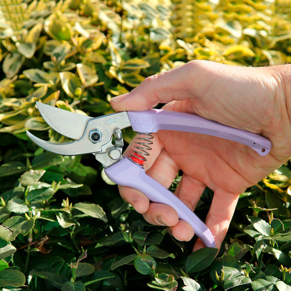 🌸 секатор 130DX-V — фиолетовый — ARS Corporation — 8 марта у Феи