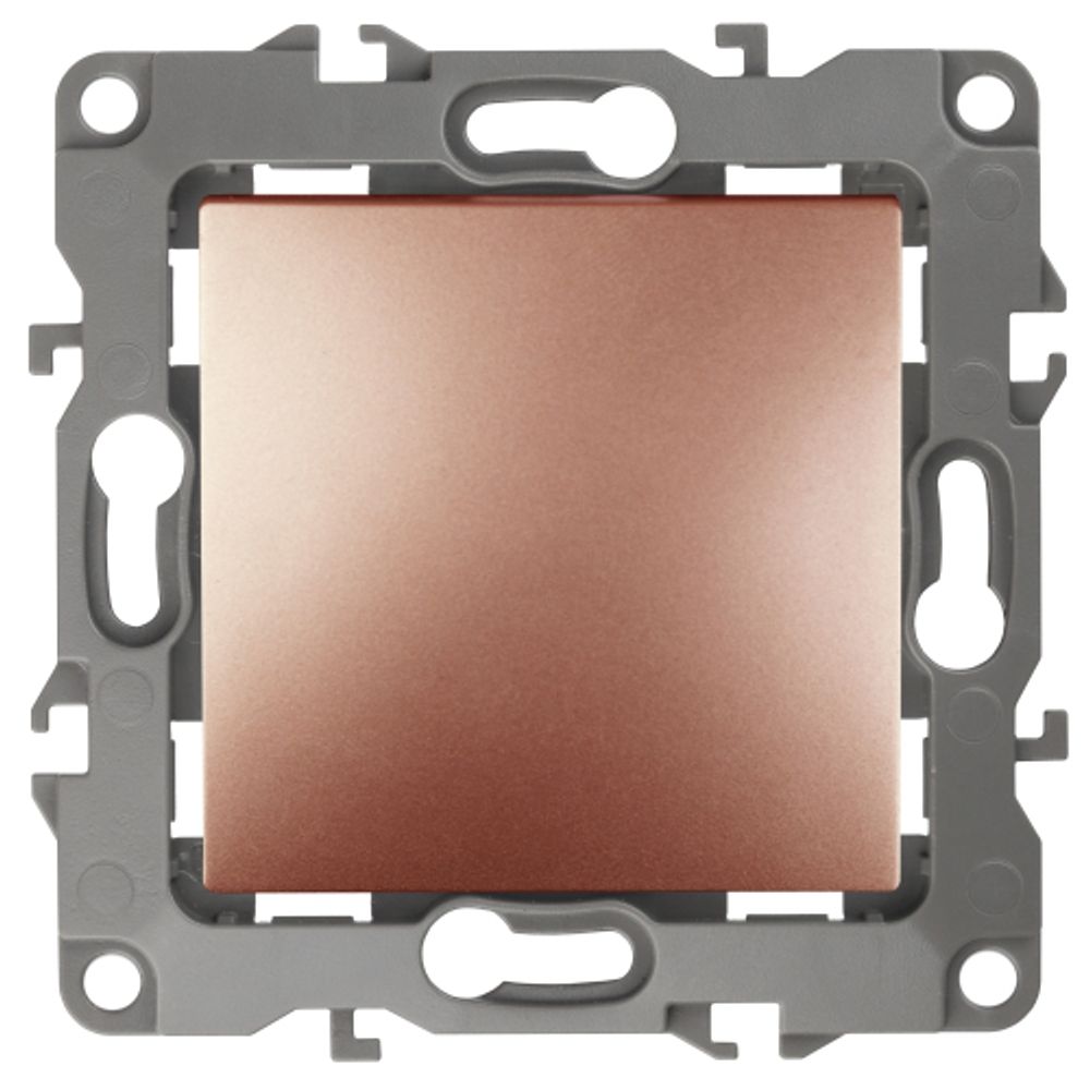 12-1111-14 ЭРА Кнопка, 10АХ-250В, Эра12, медь