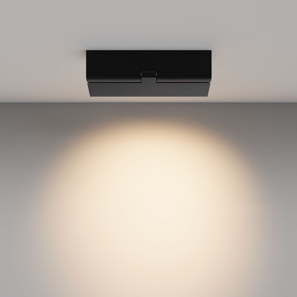 Потолочный светильник светодиодный Maytoni   C136CL-12W3K-B