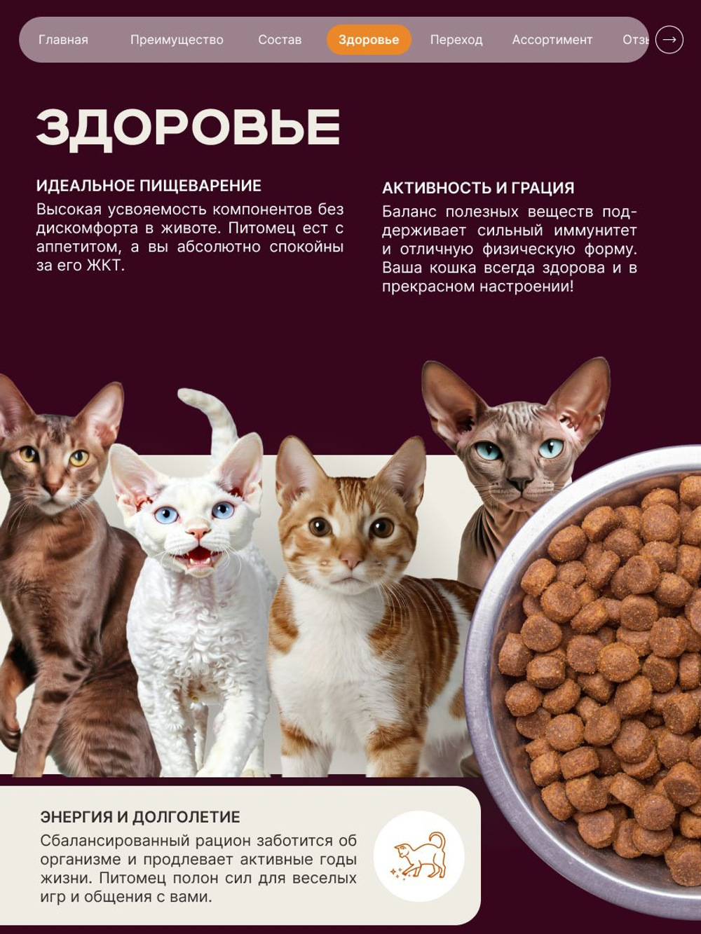 Корм сухой для кошек породы Сфинкс, с индейкой, 5 кг, QUATTRO
