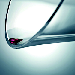 Набор бокалов для шампанского 2шт 351мл Zwiesel 1872 Wine Classics