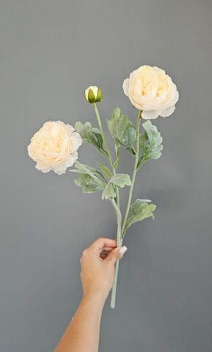 Ранункулюс / Арт 2262