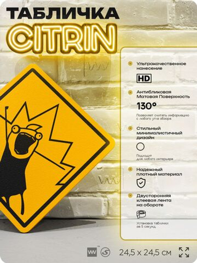 Табличка мем "Кто мы?" шуточная прикольная табличка на дверь и стену, для офиса и дома, декоративный знак, 24,5х24,5 см, пластиковая, Айдентика Технолоджи