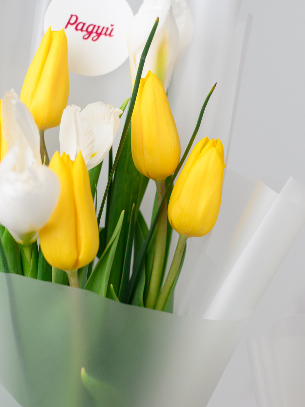 Дуо букет Ирисы с Тюльпанами