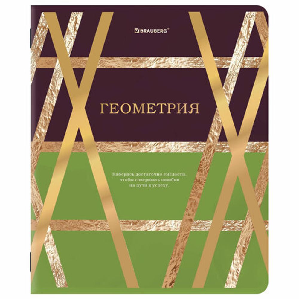 Тетради предметные, КОМПЛЕКТ 12 ПРЕДМЕТОВ, 48 л., матовая ламинация, фольга, BRAUBERG "GOLDY", 405178