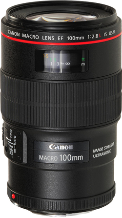 Объектив Canon EF 100mm f/2.8L Macro IS USM, черный