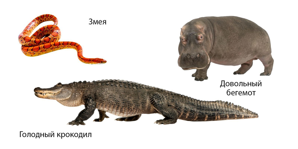 Зоопарк