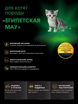 Корм для котят породы Египетская мау, с ягненком, 2 кг