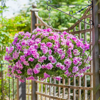 В наличии сегодня