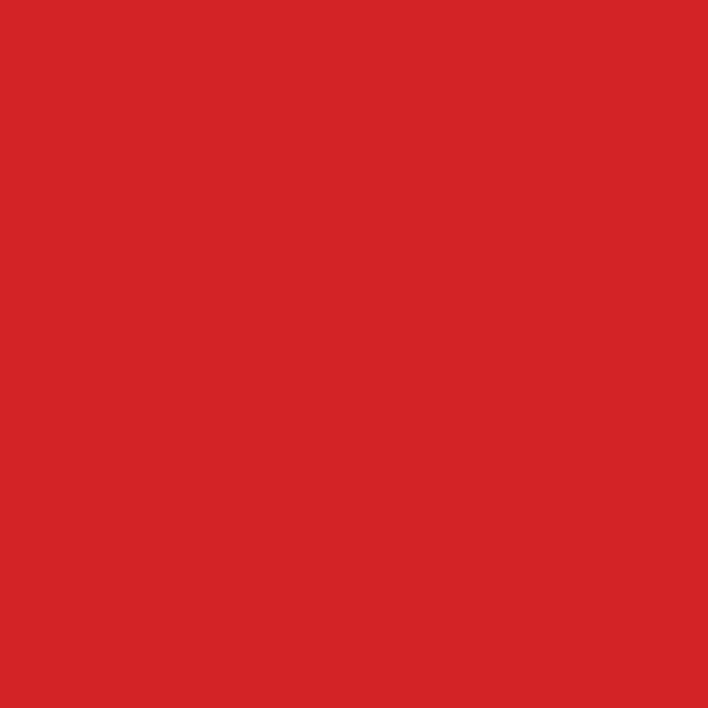 Фон бумажный Polaroid Dark Red Красный 2,72х11 м