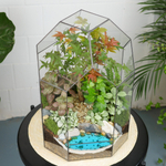 Флорариум бонсай Клён Бонсариум XL с озером