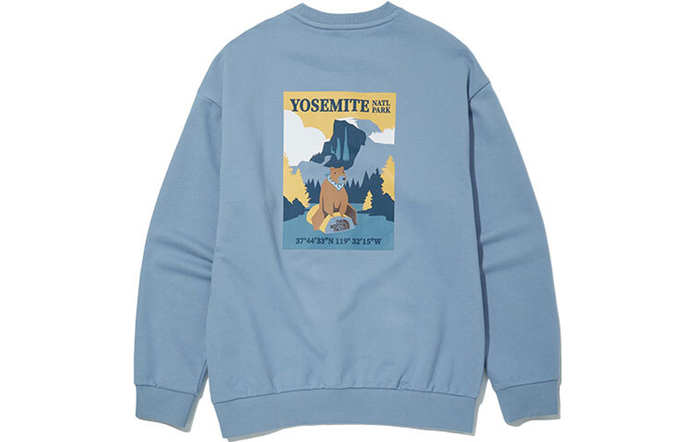 Толстовки THE NORTH FACE SS22, NM5MN01D