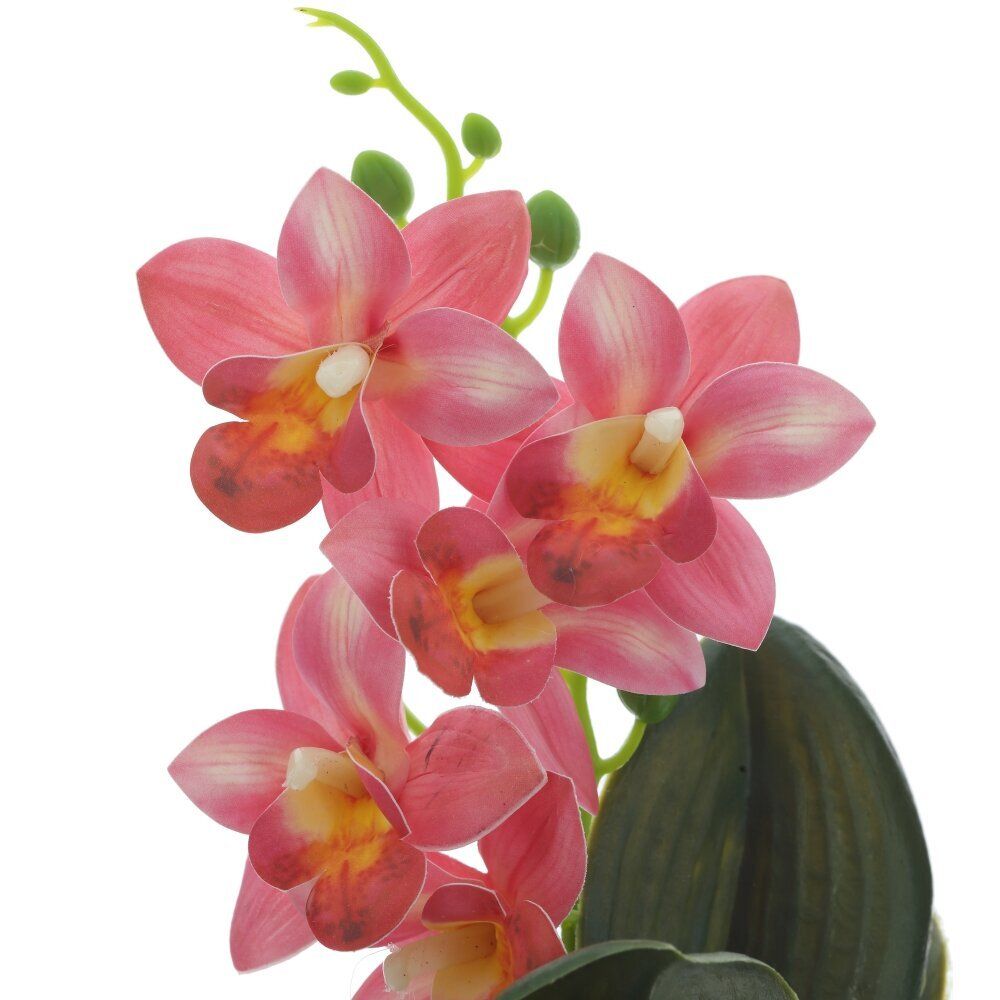 GAEM Цветочная композиция "Орхидея", L12,5 W11 H26 см