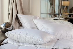 Подушка пуховая с бортиком 50x68 German Grass White Familie Down