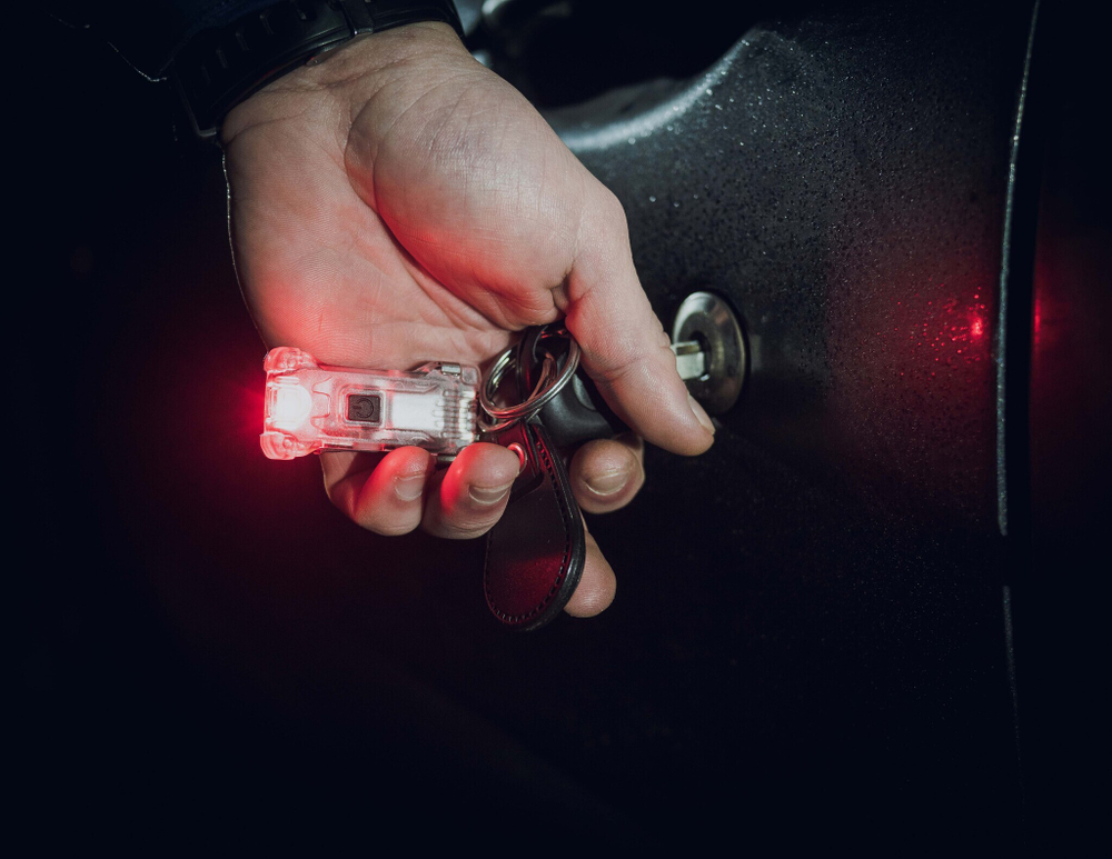 Фонарь Armytek Zippy Extended Set WR Red Ruby (F09101R)