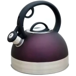 Чайник из нержавеющей стали 2,5л индукционное дно, пурпурный Катунь КТ-122