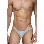 Трусы мужские слипы серые DARKZONE DZN6403