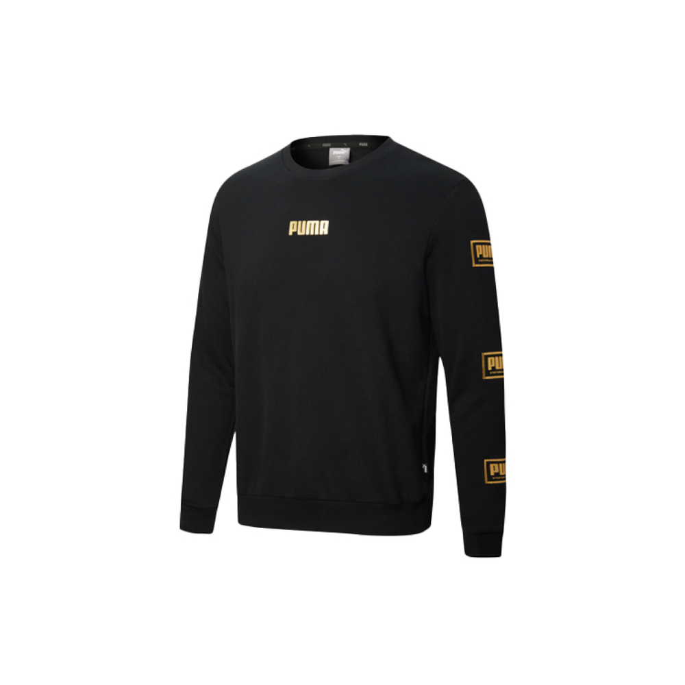Толстовка PUMA logo, 586348-01