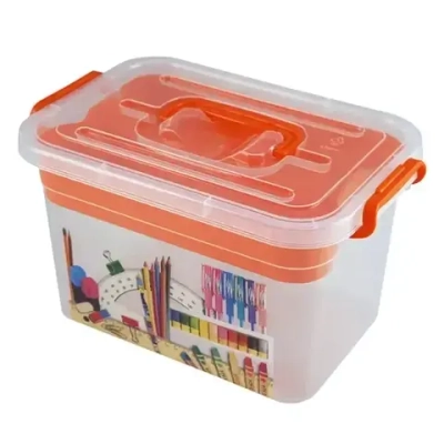 Контейнер для хранения с вкладышем ВАЖНЫЕ МЕЛОЧИ 6,5л