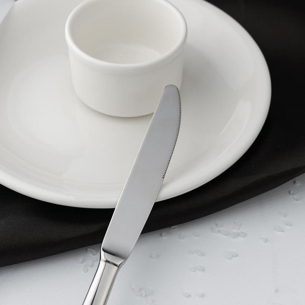 Нож столовый 23,5 см   P.L. - Davinci [12]