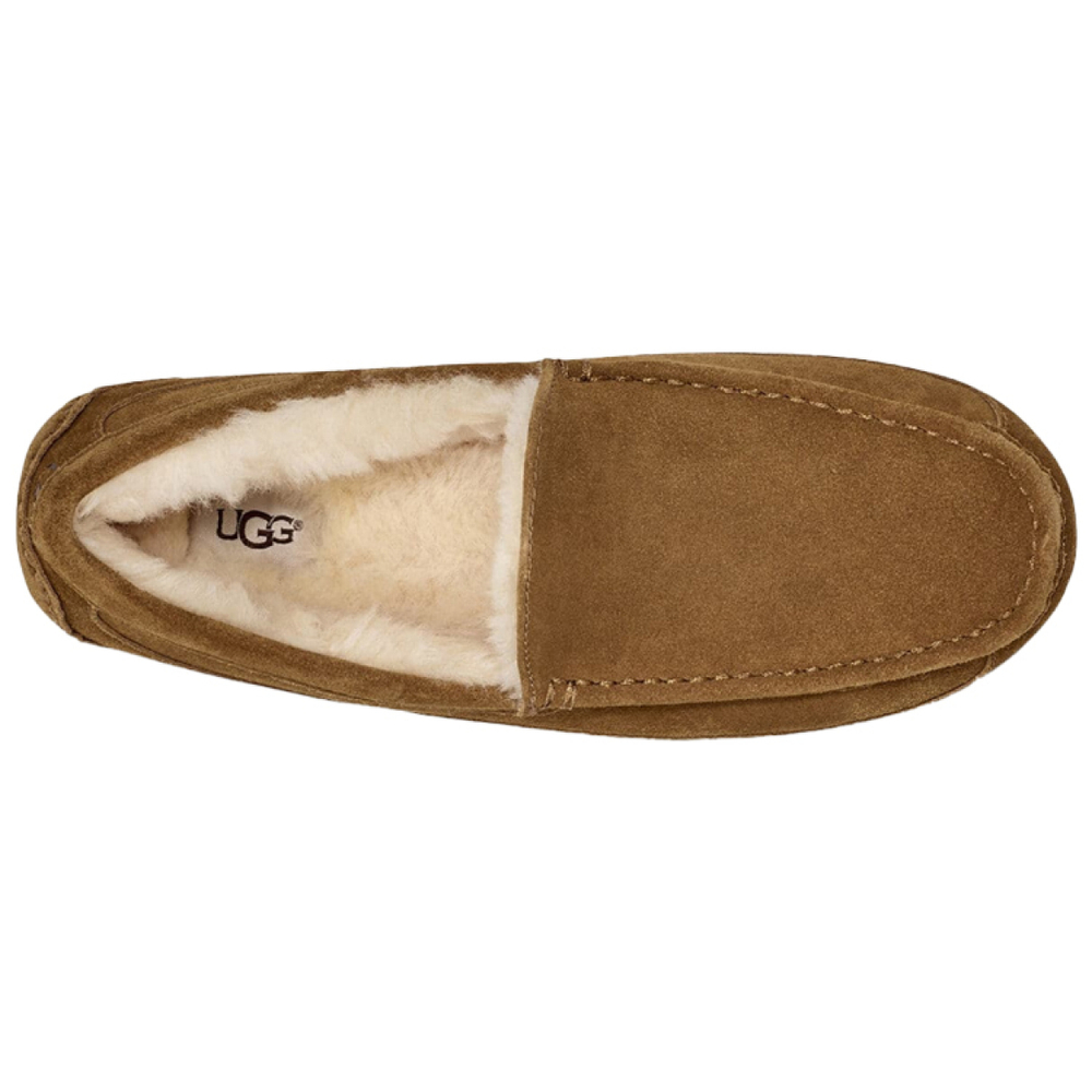 Мокасины UGG Ascot Slipper, 1101110-CHE