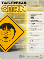 Табличка декоративная "Рэнди Марш, отец Стэна" из сериала Южный парк, South Park на дверь и стену, прикольная штука в подарок фанату, декоративный знак, 24,5х24,5 см, CITRIN, Айдентика Технолоджи