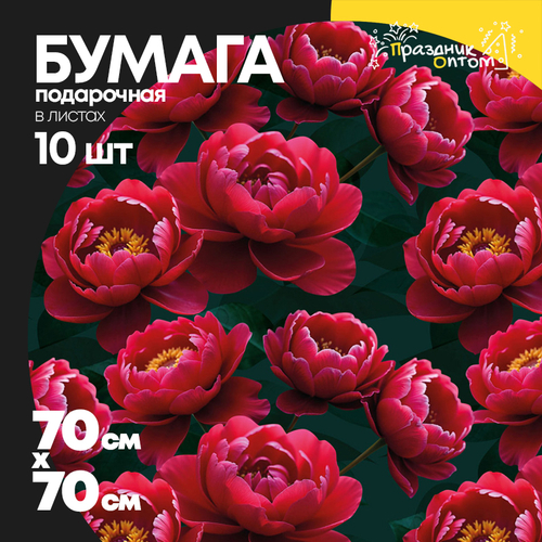 Бумага В листах 10 шт "Цветы и листья" 70 х 70 см (Микс)