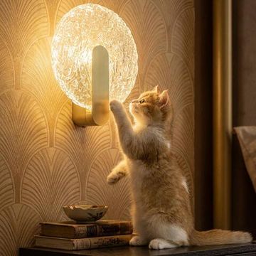 Бра светодиодное LED 5W 3000К CL248023 латунь Jazzy Citilux