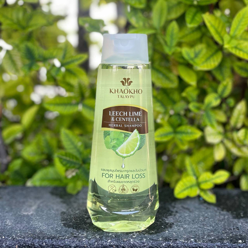 Бессульфатный шампунь Лайм и Центелла Leach Laim & Centella Herbal Shampoo Khaokho Talaypu