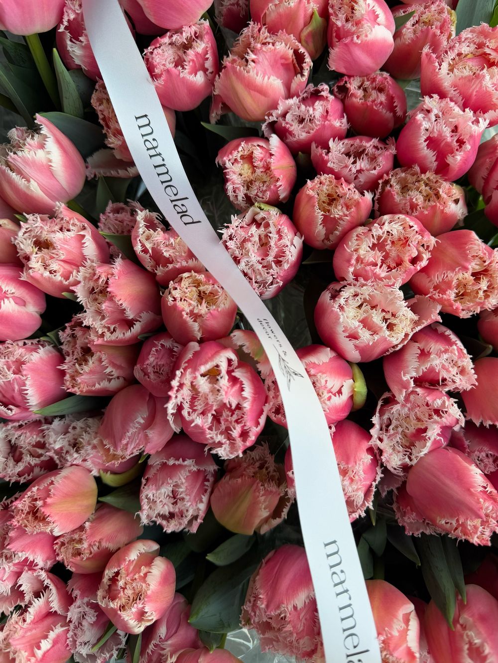 Тюльпаны махровые- нежно-розовый цвет