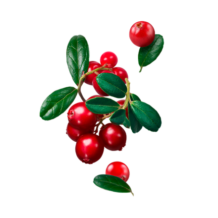 STARLINE - Cranberry (250g)