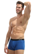 Хлопковые трусы-боксеры с логотипом Jolidon Men на резинке (Размер: L) (Цвет: серый)