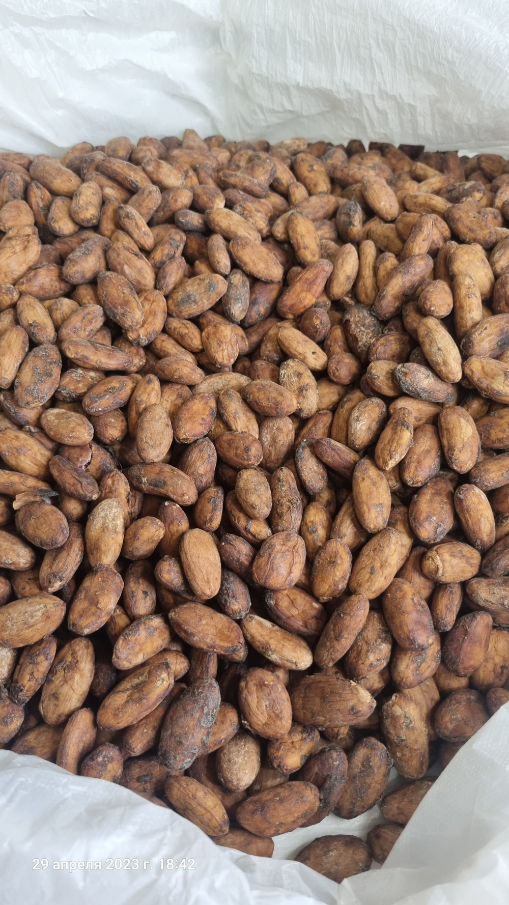 Эсмиральдас