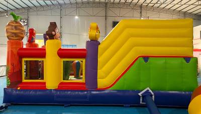 Коммерческий надувной батут «Попугайчики 2» 6*4*2,8 м