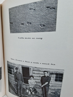 Трое против дебрей