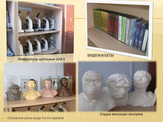 Комплект видеофильмов для кабинета биологии на DVD-Дисках