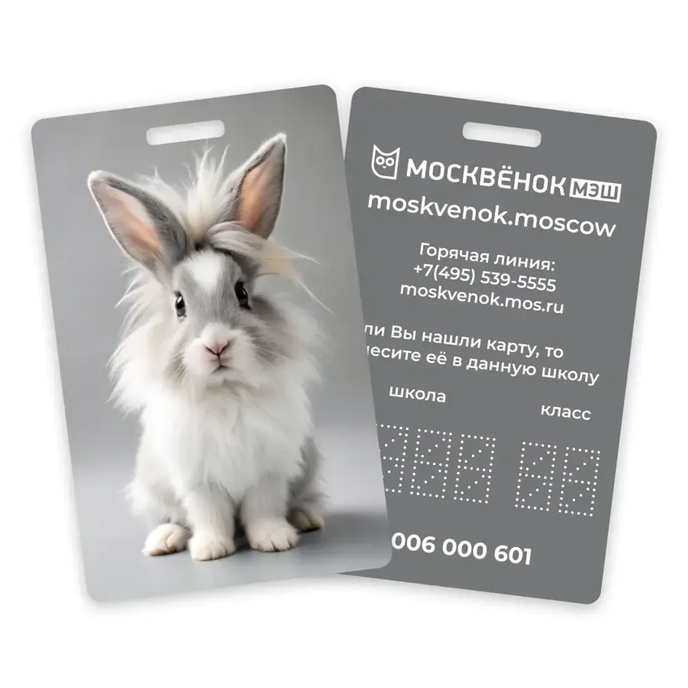 Карта Москвёнок BUNNY №3 (проход + питание)