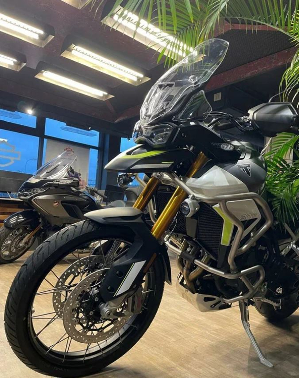 Tiger 900 Rally Aragon Edition