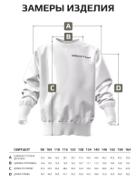 Свитшот для мальчика спортивный в школу