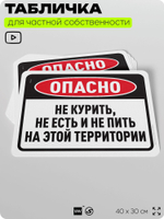 Табличка для частной территории "Не курить не есть и не пить на этой территории", на дом, для участка, организаций, предупреждающая, 40х30 см, Silver Plane x Айдентика Технолоджи