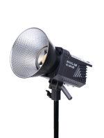 Осветитель светодиодный Raylab RL-100LED 2700-6500K с пультом