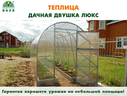 ТЕПЛИЦА ВОЛЯ ДАЧНАЯ ДВУШКА ЛЮКС