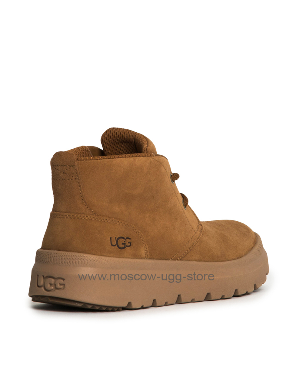 MENS BURLEIGH CHUKKA- Chestnut