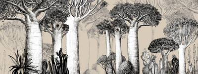 Дизайнерские обои Wall Street Zoo