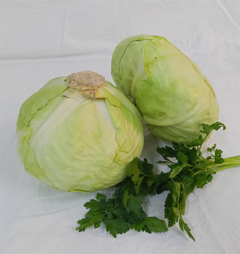 Капуста белокочанная