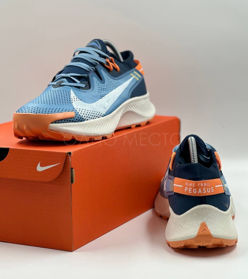 Nike Pegasus Trail 2