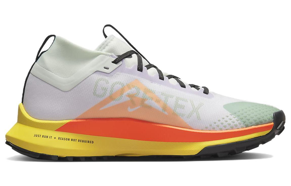 Кроссовки Nike Pegasus Trail 4 Gore-Tex