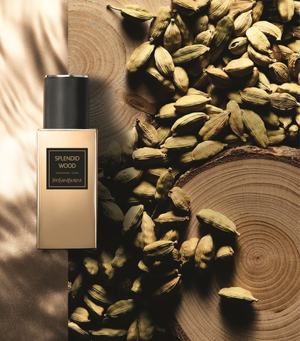 Yves Saint Laurent Splendid Wood