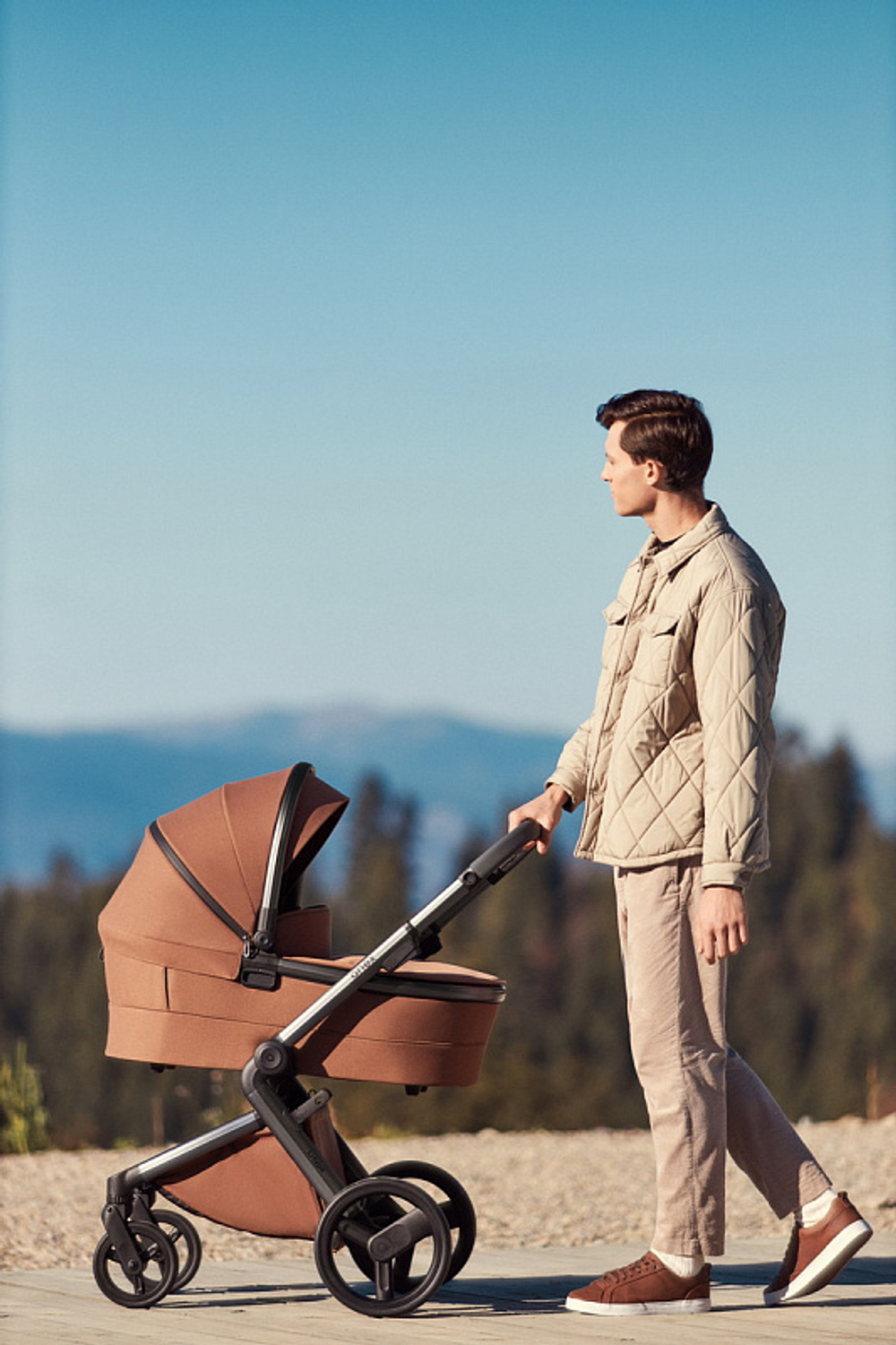 Детская коляска Anex l/type 3 в 1 Hazel